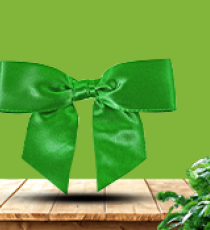 Nœud Satin - Vert Emeraude