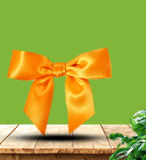 Nœud Satin - Orange