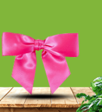 Nœud Satin - Fuchsia