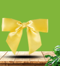 Nœud Satin - Citron