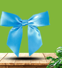 Nœud Satin - Blue Island